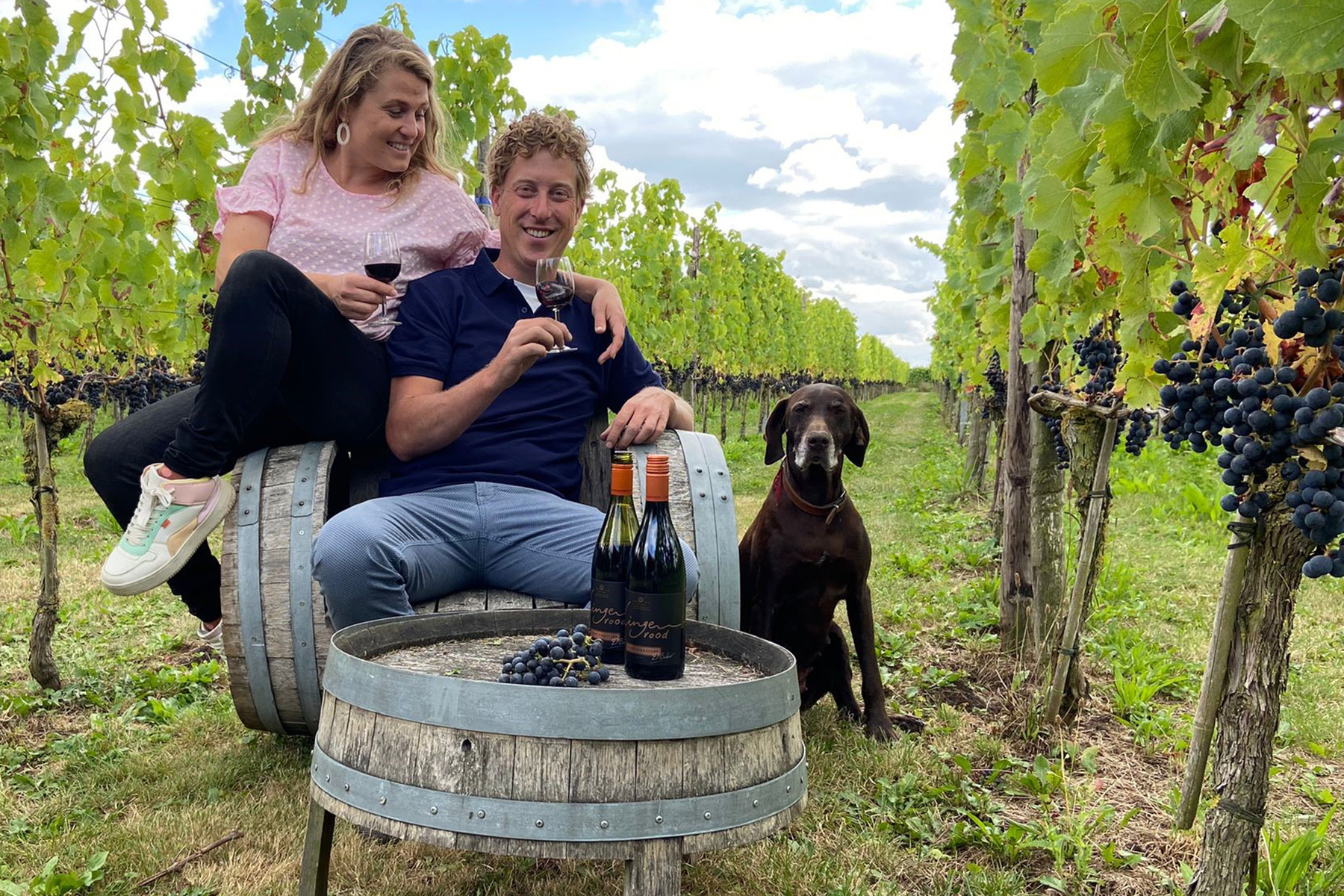 Betuws Wijndomein grote winnaar Wijnkeuring van de Lage Landen 2023